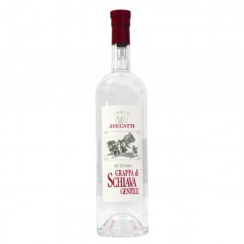 grappa schiava